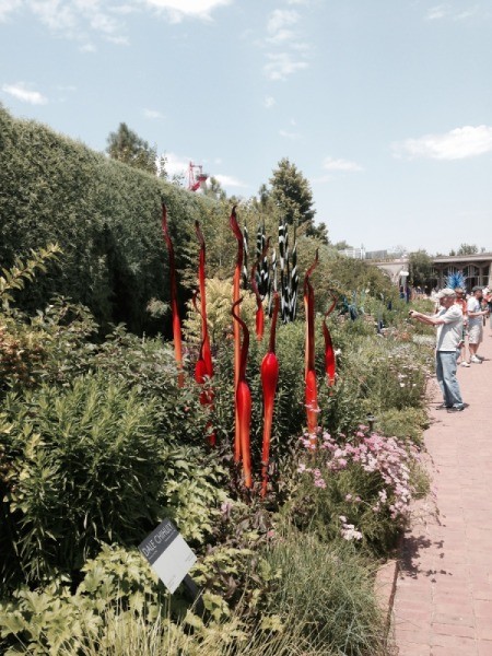 orangish red and black stork like glass along a path