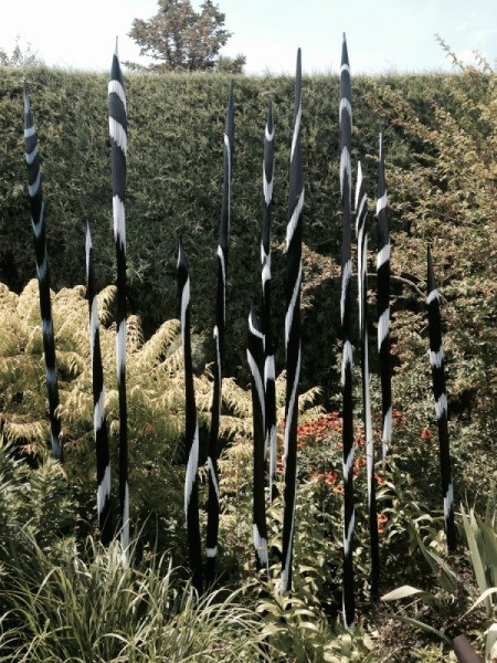 black and white spears among the grasses