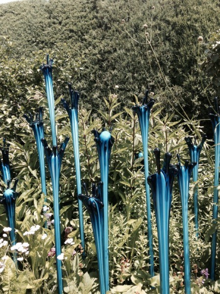 blue and black cobra like spires