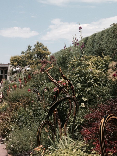 writhing black and yellow serpents