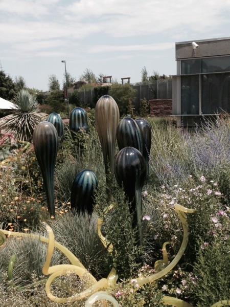 bulbous tops on slender spikes