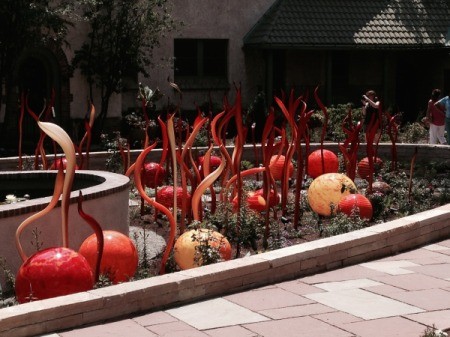 flock of Flamingo and orange globes in a pond