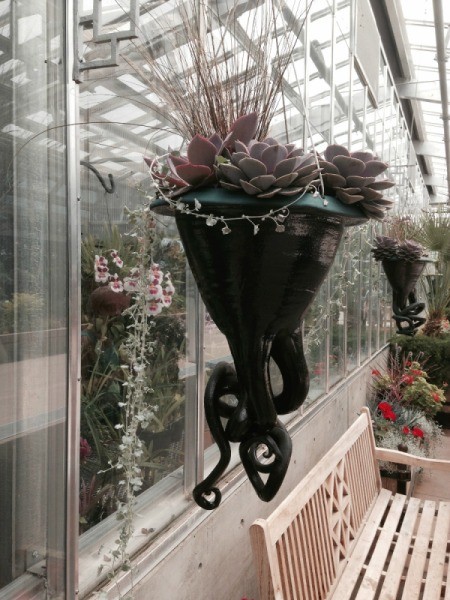 succulents in a hanging vase