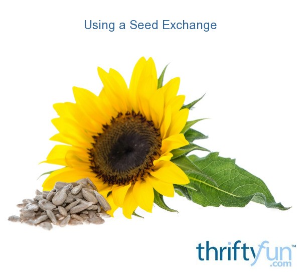 Using a Seed Exchange ThriftyFun