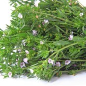 bunch of summer savory with delicate pink flowers