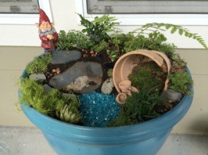 Gnome Garden