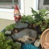 gnome in garden