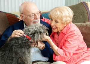 Pets and the Elderly