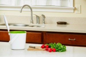 countertop compost bucket