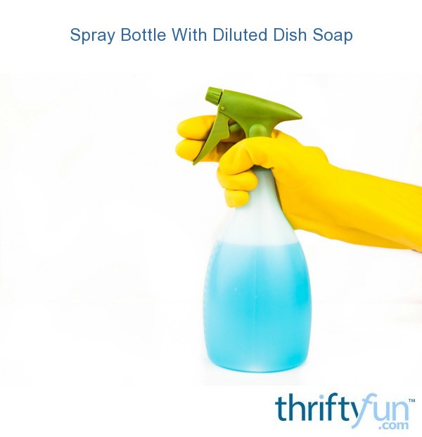 Spray Bottle With Diluted Dish Soap ThriftyFun