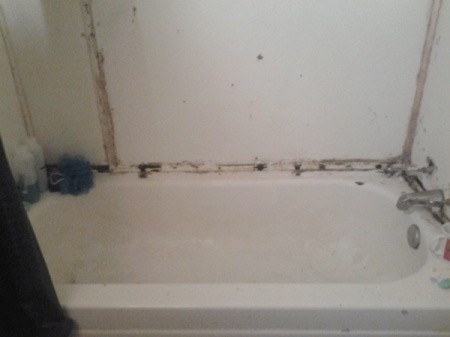 mold stained tub surround