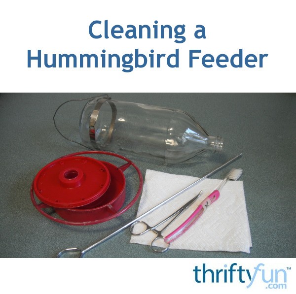 Cleaning a Hummingbird Feeder ThriftyFun