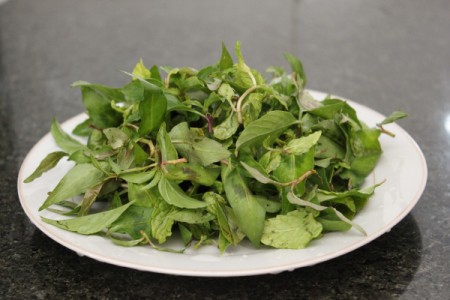 Vietnamese Chicken Salad (Goi Ga)