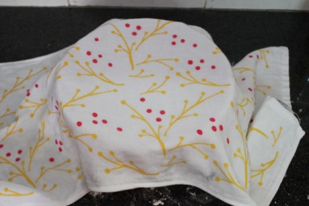 Homemade Flour Tortillas