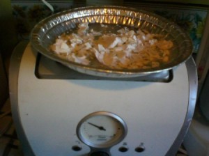 egg shells in aluminum pan on top of toaster