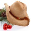 cowboy hat with decorations