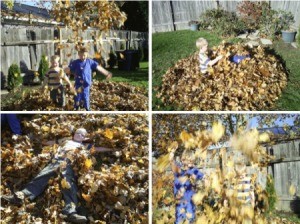 Boys Playing In Leaves