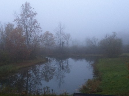 Morning Fog Over The Pond