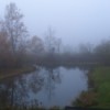 Morning Fog Over The Pond