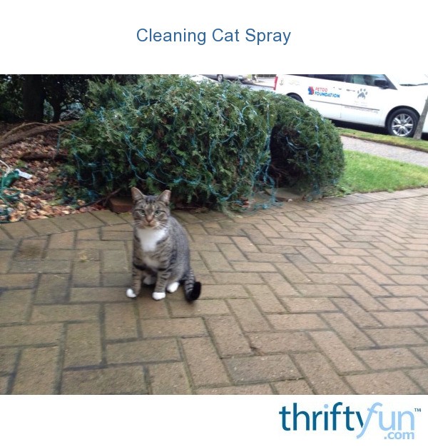 Cleaning Cat Spray? ThriftyFun