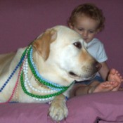 dog with beads and child