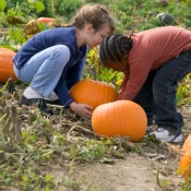 two young girls choosing pumpkins