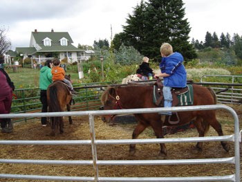 Plumper Pumpkin Patch Visit