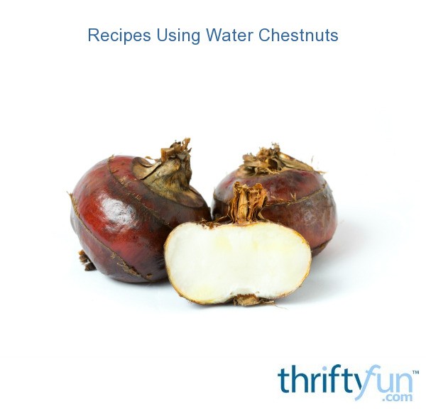 Recipes Using Water Chestnuts ThriftyFun