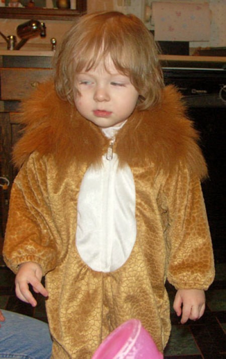 A child in a lion costume