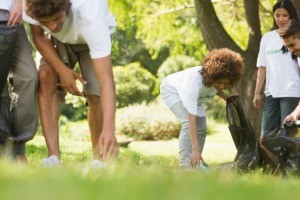 people working on yard chores