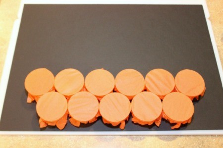 second row of pumpkin 2