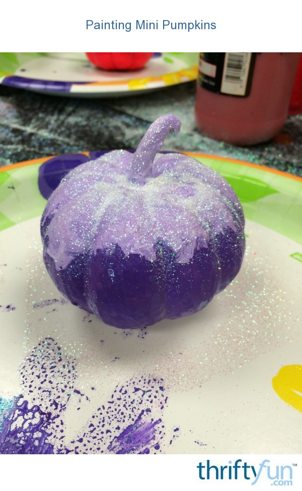 Painting Mini Pumpkins ThriftyFun   Painting Mini Pumpkins 4 Fancy 