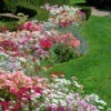 curved flower beds
