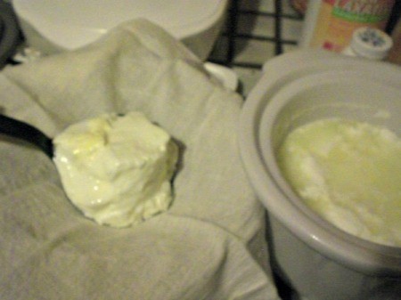 Crock Pot Yogurt - finished yogurt