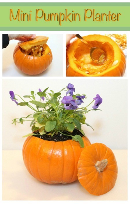 Making a Mini Pumpkin Planter