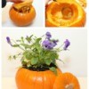 Making a Mini Pumpkin Planter