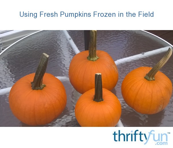 Using Fresh Pumpkins Frozen in the Field? ThriftyFun