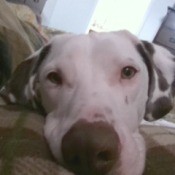 closeup of Buster's face