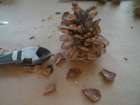 trimming cone for mouse