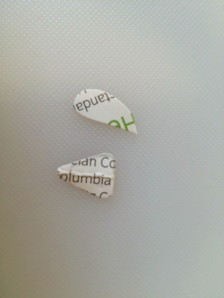 beak and waddle template