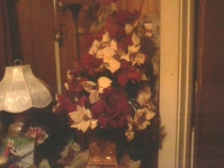 A poinsettia tree sitting on a small table.