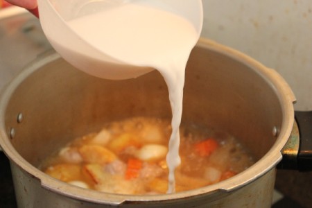 Vietnamese Beef Ragout (Lagu Bo)