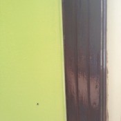 wall and trim
