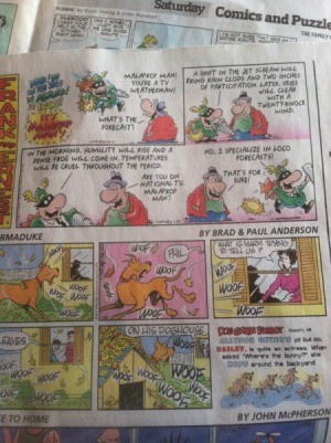 Newspaper Comics for Gift Wrap - comic pages