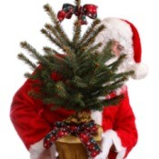 Santa with a living Christmas tree.