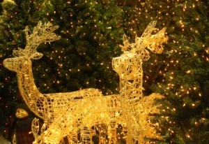 lighted Christmas reindeer display