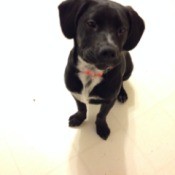 closeup of Jackson sitting