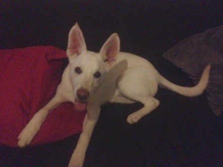 lying down and looking at camera