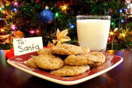 A plate of cookies and milk for Santa