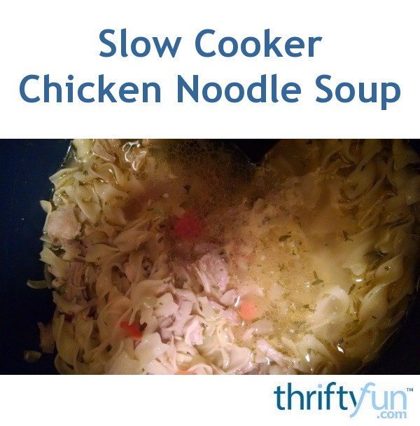 Slow Cooker Chicken Noodle Soup Recipe | ThriftyFun